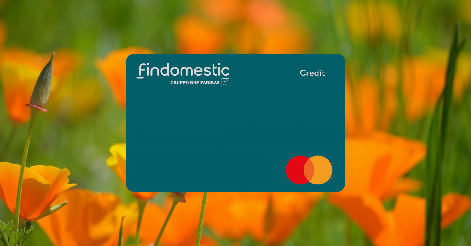 Come Richiedere la Carta di Credito Findomestic Guida Completa e Vantaggi